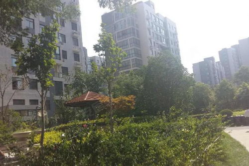 東方鼎盛時(shí)代三期優(yōu)點(diǎn) 不足,東方鼎盛時(shí)代三期怎么樣,東方鼎盛時(shí)代三期周邊房產(chǎn)中介經(jīng)紀(jì)人評價(jià) 鄭州安居客